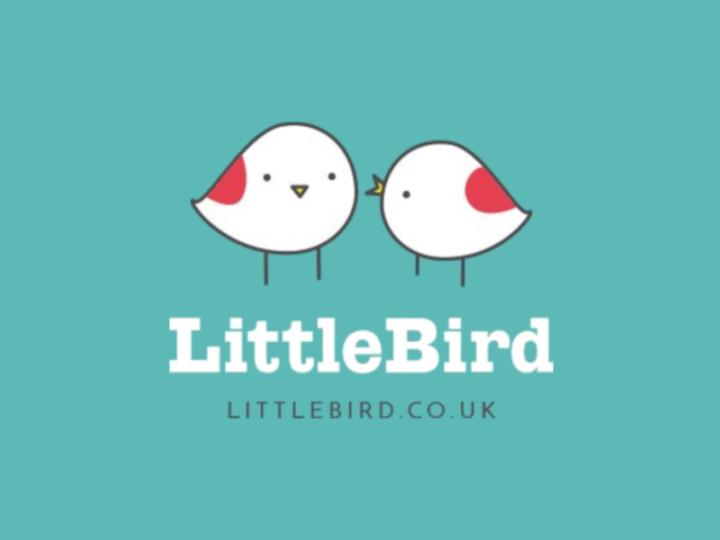 Little Bird