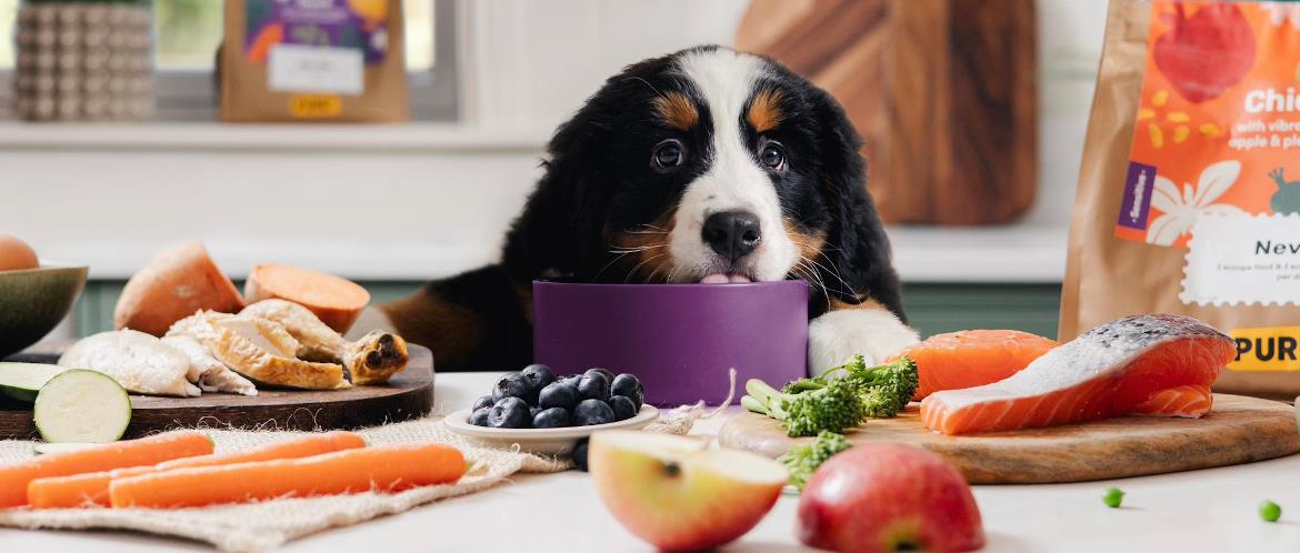 Pure Pet Food