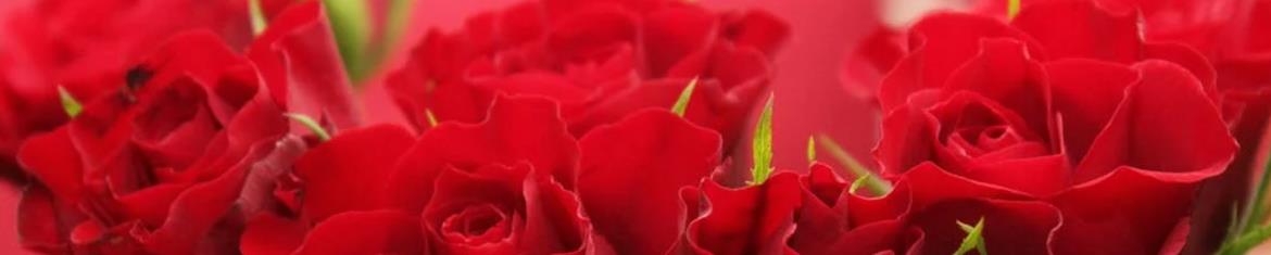 Post-a-rose